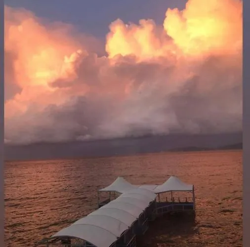 Отель Club Rose Bay 3*